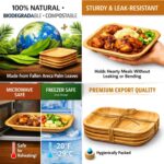 Areca Square Plate 7